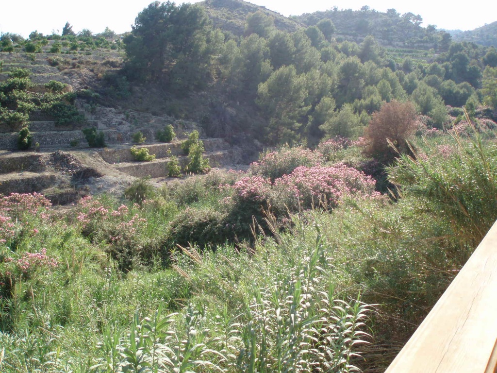 CASA RURAL EN PARTIDA ALCOCONS