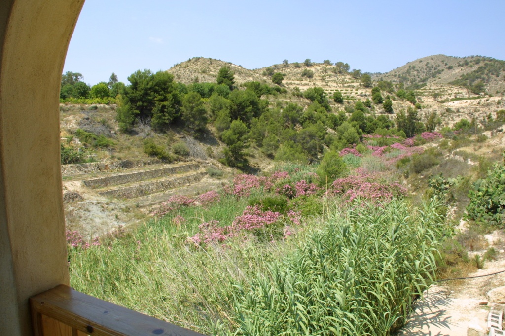 CASA RURAL EN PARTIDA ALCOCONS