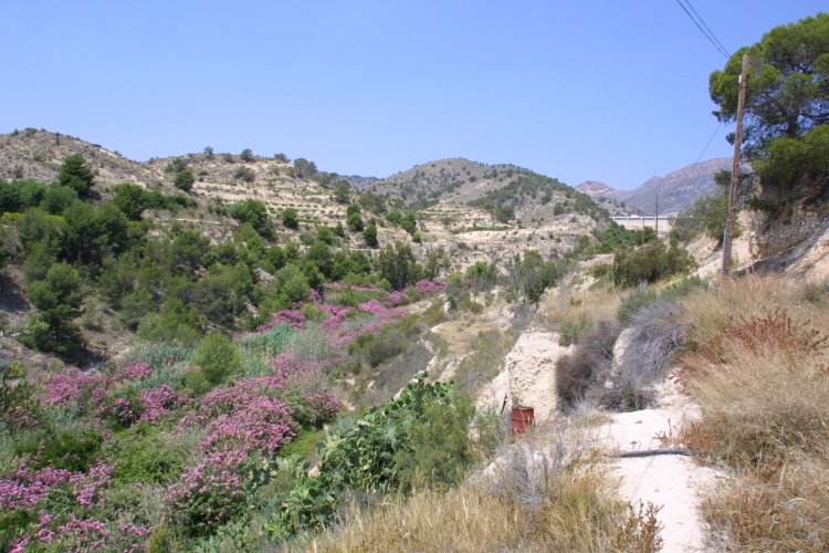 CASA RURAL EN PARTIDA ALCOCONS